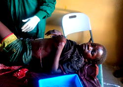 Boko Haram hunts farmers in Borno for leaking information