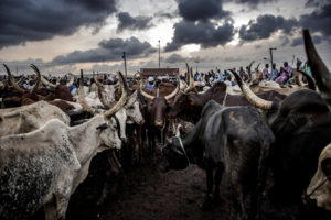 RUGA