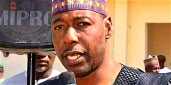 Tell me true situations on secondary schools in Borno, Zulum begs principals