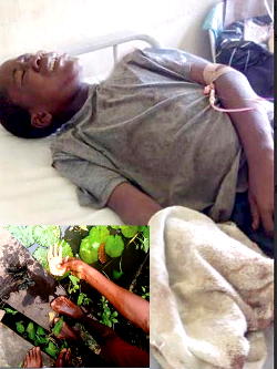 I did not steal from any pond,  12-yr-old whose hand was cut off cries out