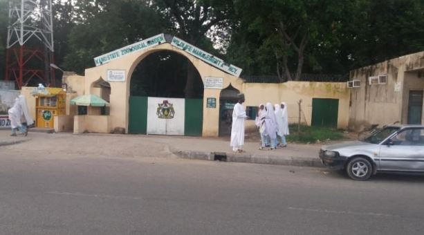 Shocking: Gorilla allegedly swallows N7m in Kano zoo - Vanguard News