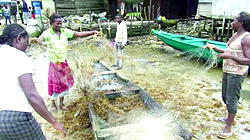 ‘Fishes gone, no jobs, bandits have turned our homes into hell on earth’