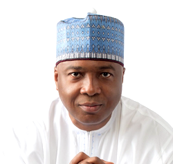 Democracy Day: After four years, my portrait was just added to senate gallery — Saraki alleges