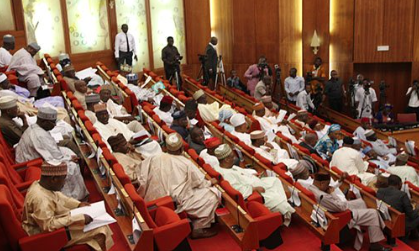 INSECURITY: Beyond lamentation of National Assembly