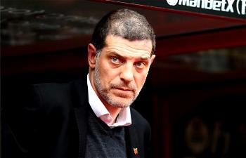 Bilic appointed West Brom boss
