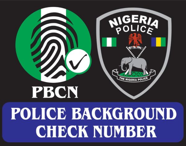 AoS introduces Police Background Check Number - Vanguard News