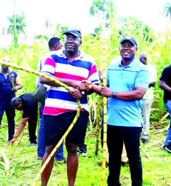 I will combine farming with writing after leaving office  — Gov. Seriake Dickson