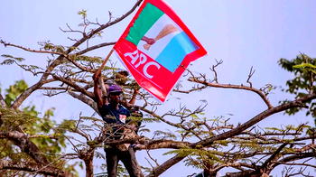 APC: A nest of self-centred politicians