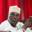 Atiku is not a Cameroonian, he was my classmate – Withness