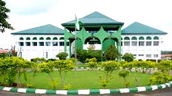 Probe c’ttees:  Abia House won’t witch-hunt anyone, but…— Majority Leader