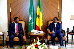 African Energy Chamber, oil executives pay courtesy visit to President Macky Sall