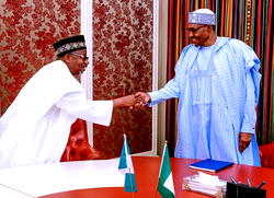 Bauchi needs Ruga  project, Gov Mohammed tells Buhari