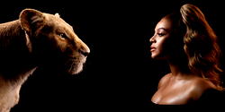 Tiwa Savage, Wizkid, Yemi Alade, Burna Boy, Mr Eazi to be in Beyoncé’s ‘Lion King’ album