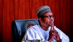 No ban, restrictions on importation of  food items — Presidency
