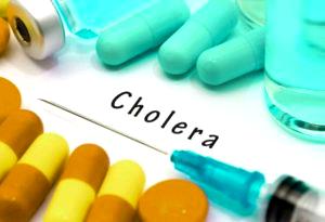 NCDC confirms 3,208 deaths from cholera in 31 states, FCT ― NCDC