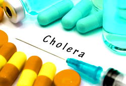 Adamawa confirms cholera outbreak as 15 persons confirmed killed