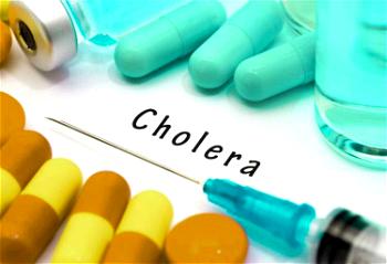Cholera resurfaces in Adamawa as 6 LGAs record 70 cases
