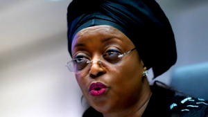 Diezani’s gold and diamond bras auction: Questions Nigerians are asking