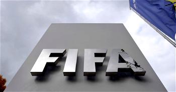 FIFA appoints emergency committee to run Egyptian football