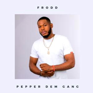 BBNaija (S4): Frood wins Veto power of chance badge