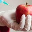 GMO food is postponed suicide in disguise, environmentalists warn