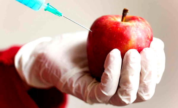 GMOs’re disguised economic colonisation tools —Prof Amua