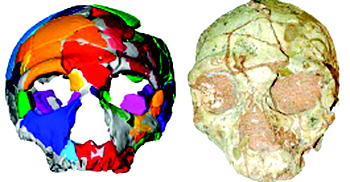 Earliest modern human found outside Africa