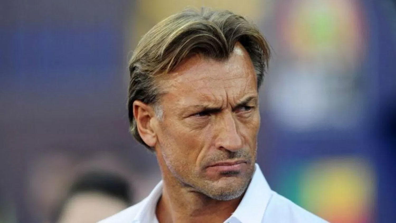 Ex Morocco coach Herve Renard named as Saudi Arabia's new boss