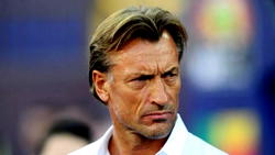 Super Eagles job: Renard demands N253m monthly wage 