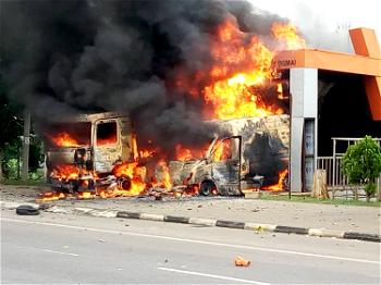 Nigerians now driven by violent agitations, human merchandizing — NAL