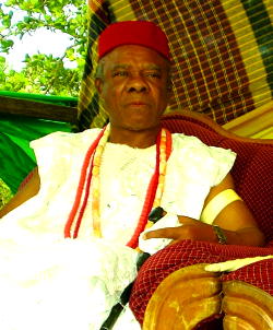 Parliamentary system is the way  to go — Igwe Ogwuru