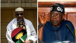Nnamdi Kanu to Tinubu: You have disappointed, disgraced the noble Yoruba ancestry