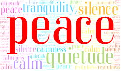 Group calls for peace, tolerance among religious bodies in Nigeria