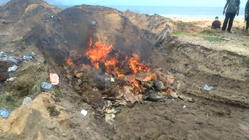 Customs destroys poisonous “Ponmo” in Seme border