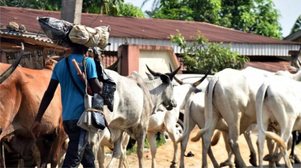 Protesters barricade road as herdsmen allegedly rape, destroy farmlands in Bayelsa