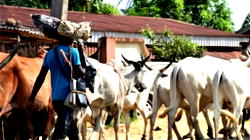 Labourer survives herdsmen attack in Anambra school