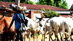 Police refute clip of herdsmen expulsion in Enugu