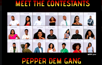 BBNaija Season 4: Most popular social media housemates revealed