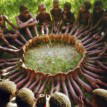 Ubuntu: We are because I am