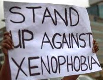 Xenophobia: PMAN urges FG to take action without delay