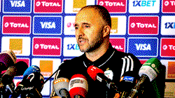 AFCON: Algeria’s coach Belmadi attacks Nigerian journalist