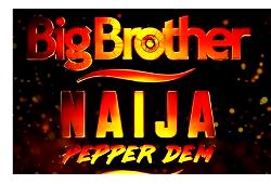 BBNaija Season 4: Summary of final, Nigerians reactions