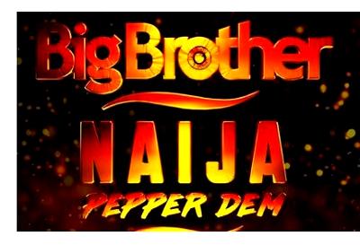Nigerians react as BBNaija season four ends