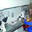 Bridge Clinic seeks end to medical tourism, marks 20