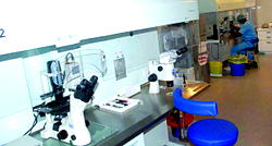 Bridge Clinic seeks end to medical tourism, marks 20