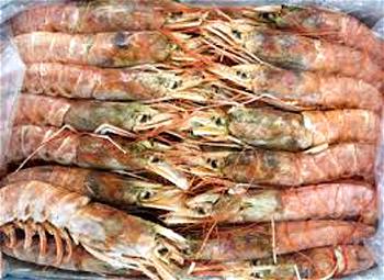 Price of Crayfish soars by 50% in Enugu