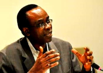 980,000 hectares of mangrove forests lost, degraded annually — Nnimmo Bassey