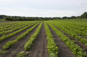 TAAT-WEC targets 1000 farmers on new water conservation