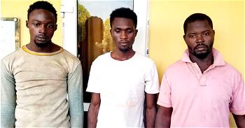 Killers of Ogun couple confess: We killed them because they recognised us