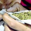 New Trends In Drug Abuse: ‘No more marijuana, we get high on new weeds’